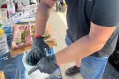 IMG-20220624-WA0033