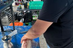 IMG-20220625-WA0009